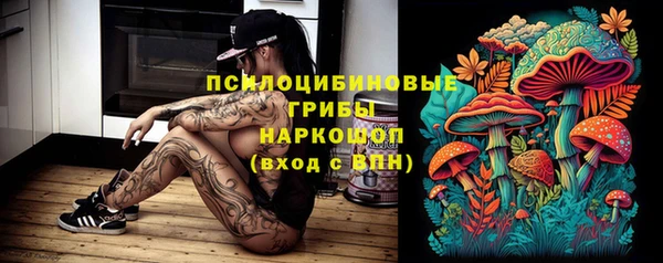 альфа пвп Усинск